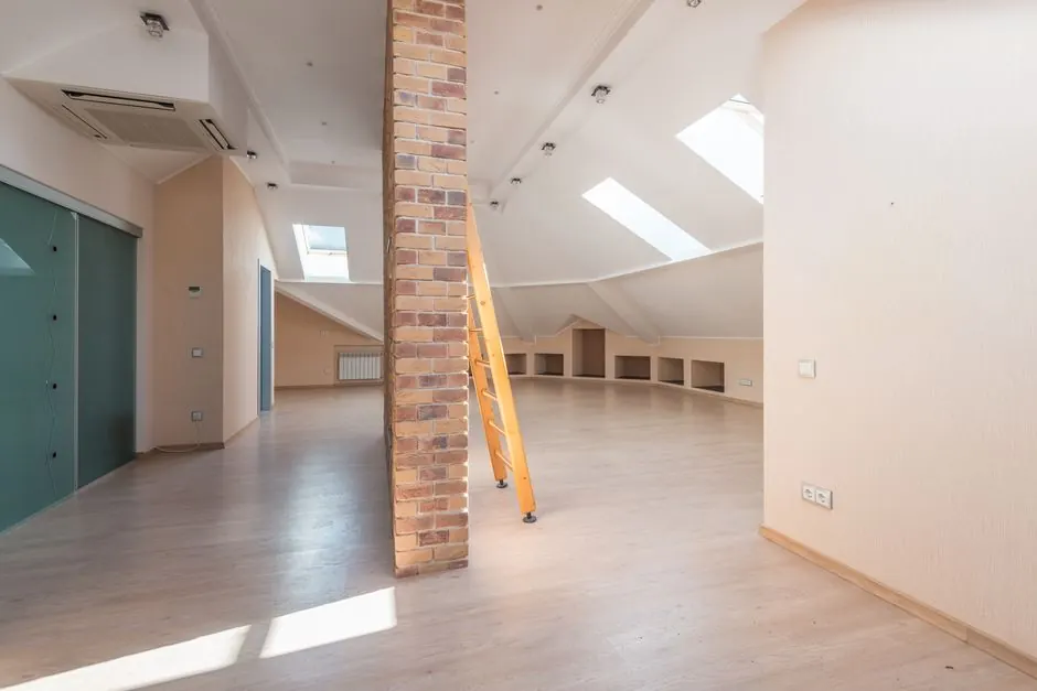 Spacious attic with skylight - poor ventilation and roof leaks make Bedford TX attics a top mold spot
