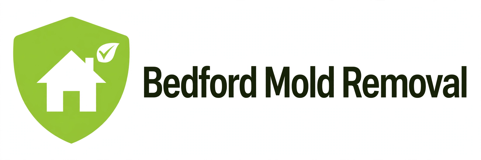 Bedford Mold Removal